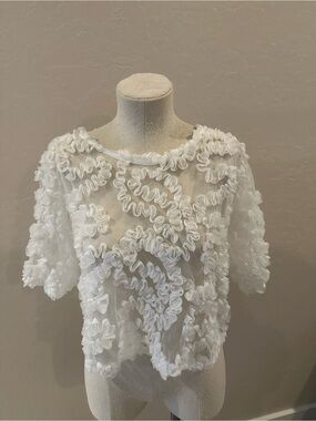 Sheer White Short-Sleeve Ruffle Mesh Top